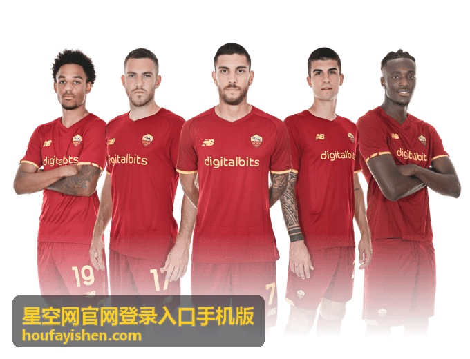 星空网官网登录入口手机版登录指南